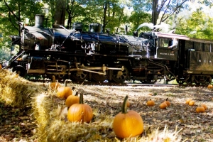 Great Pumpkin Train - Weekends, Sept. 29-Oct. 28